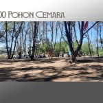 pantai paling teduh se jogja jateng